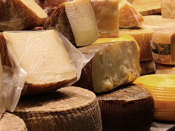 Azienda-raccolta-latte-a-temperatura-controllata