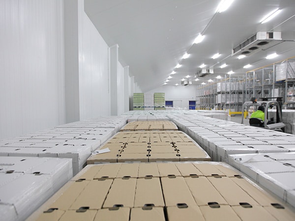 Magazzino-dedicato-ai-prodotti-surgelati Magazzino-dedicato-ai-prodotti-surgelati