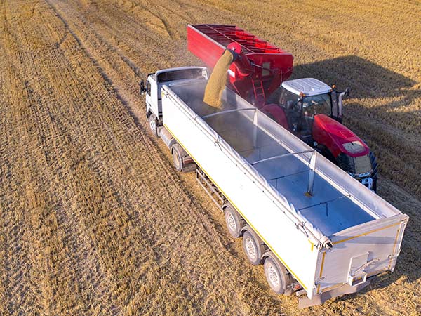 Trasporto-cereali-sfusi Trasporto-cereali-sfusi