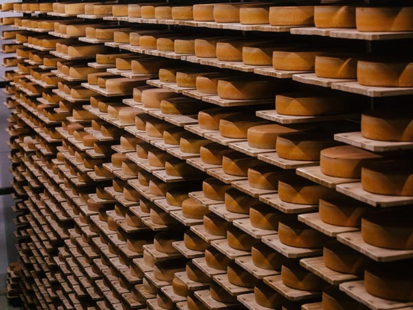 Trasporto-e-raccolta-prodotti-caseari-su-pallet